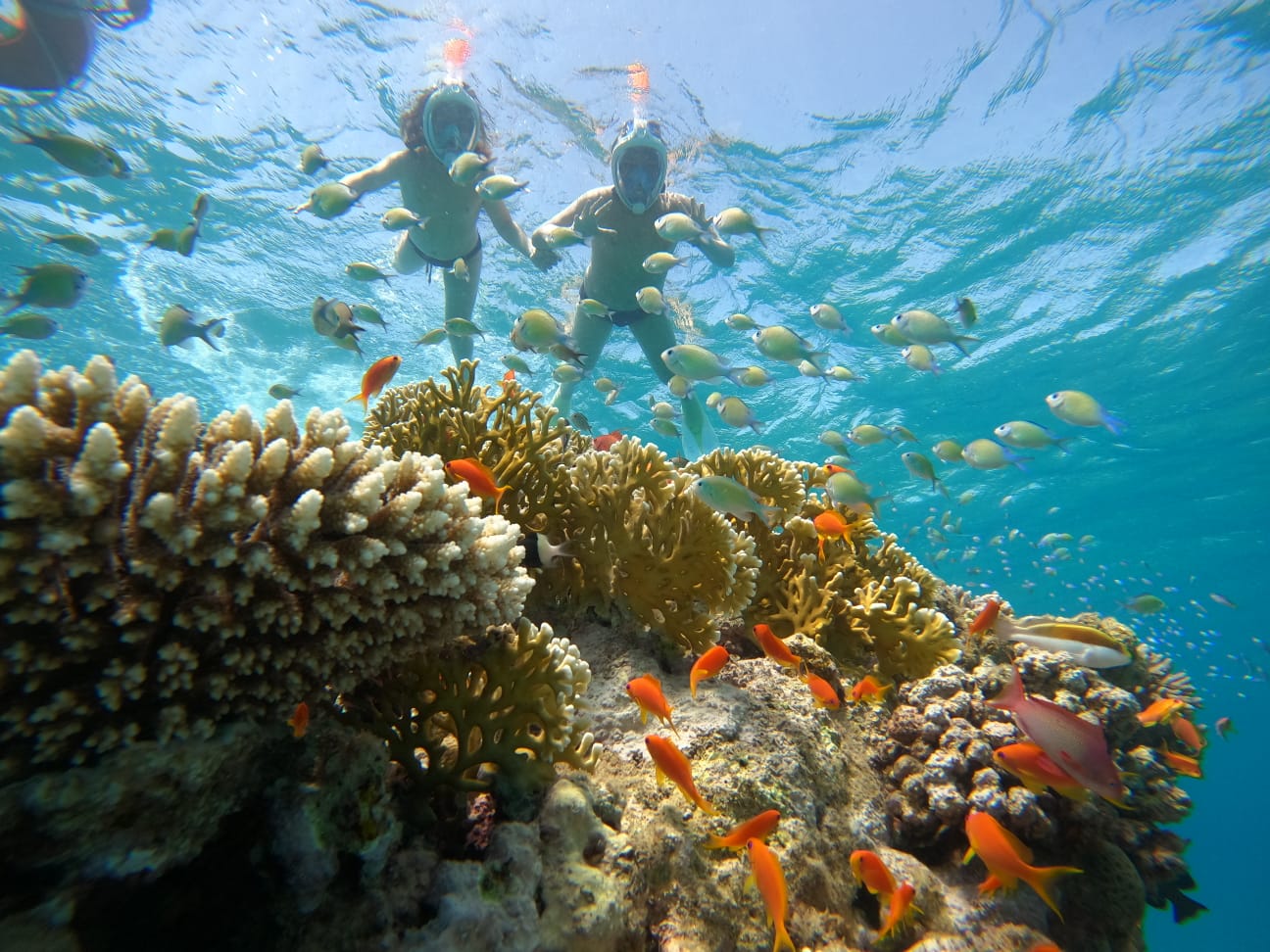 Day Trip to Marsa Egila