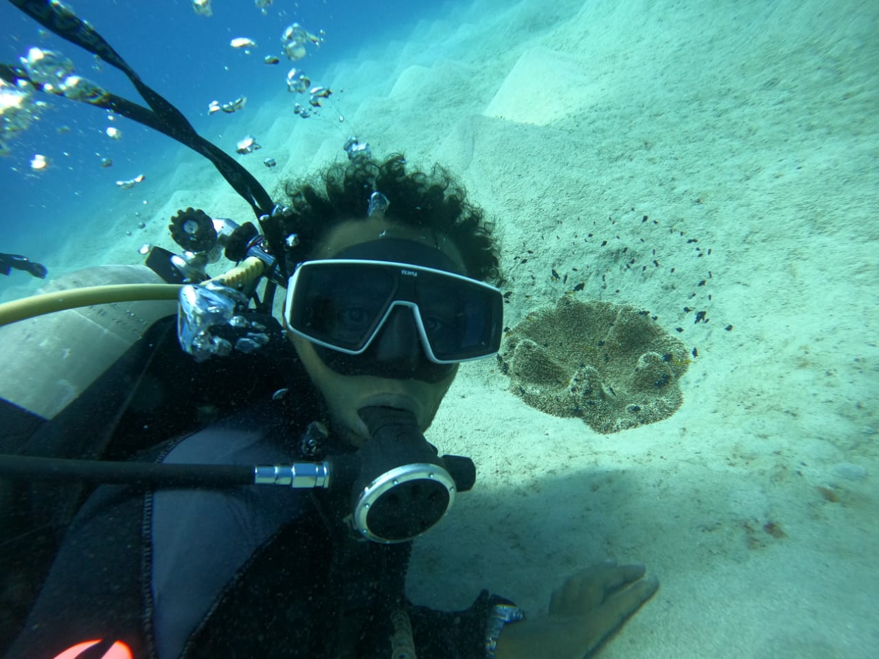 Day Trip to Marsa Egila