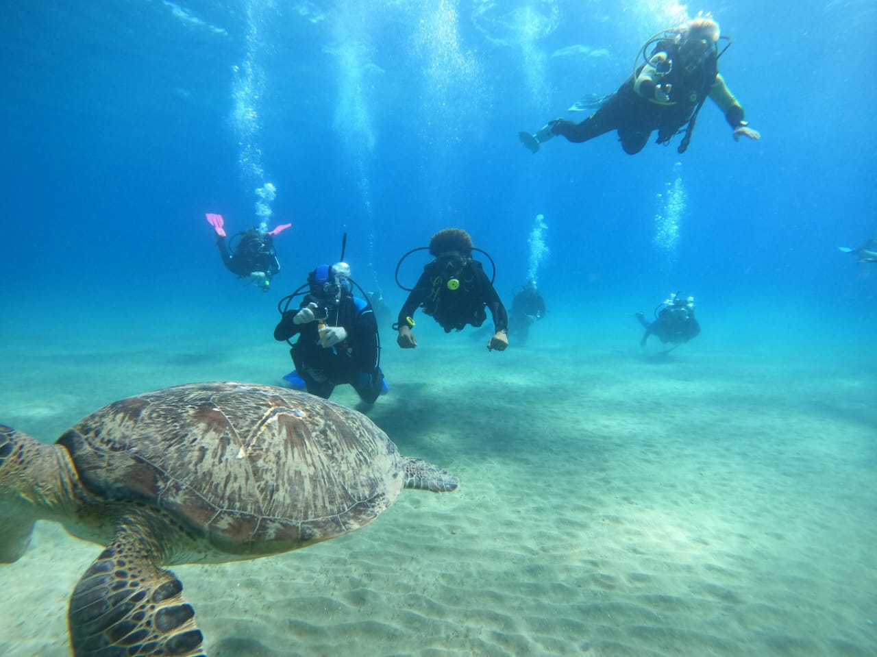 Day Trip to Marsa Egila