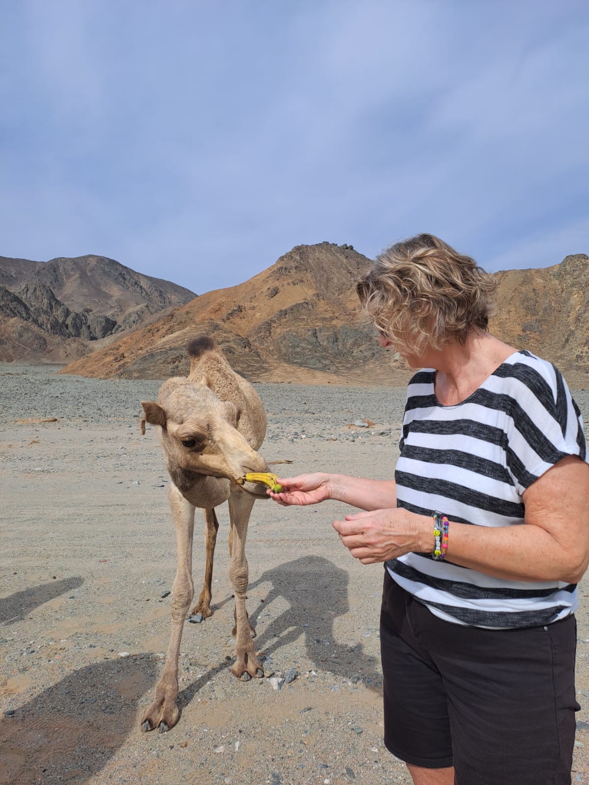 Private trip to wadi El Gemal from Marsa Alam